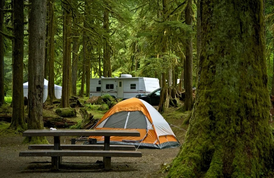 The Best Places to Go Camping in the U.S.