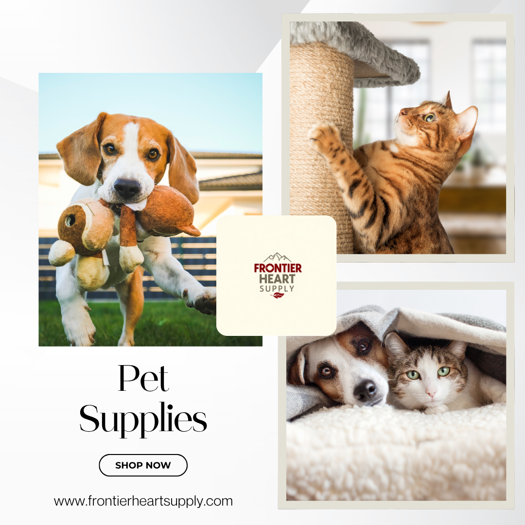 Everything You Need to Keep Your Pet Happy and Healthy