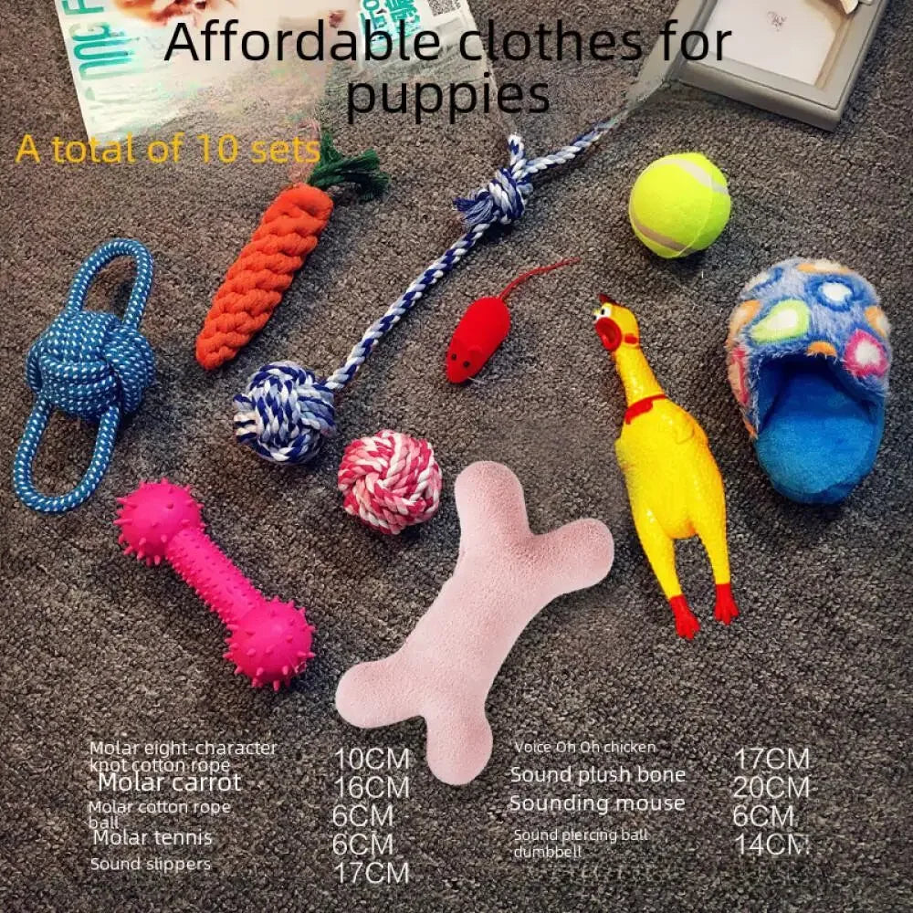 Pawfect Plush Dog Toy Set for Engaging Puppy Training