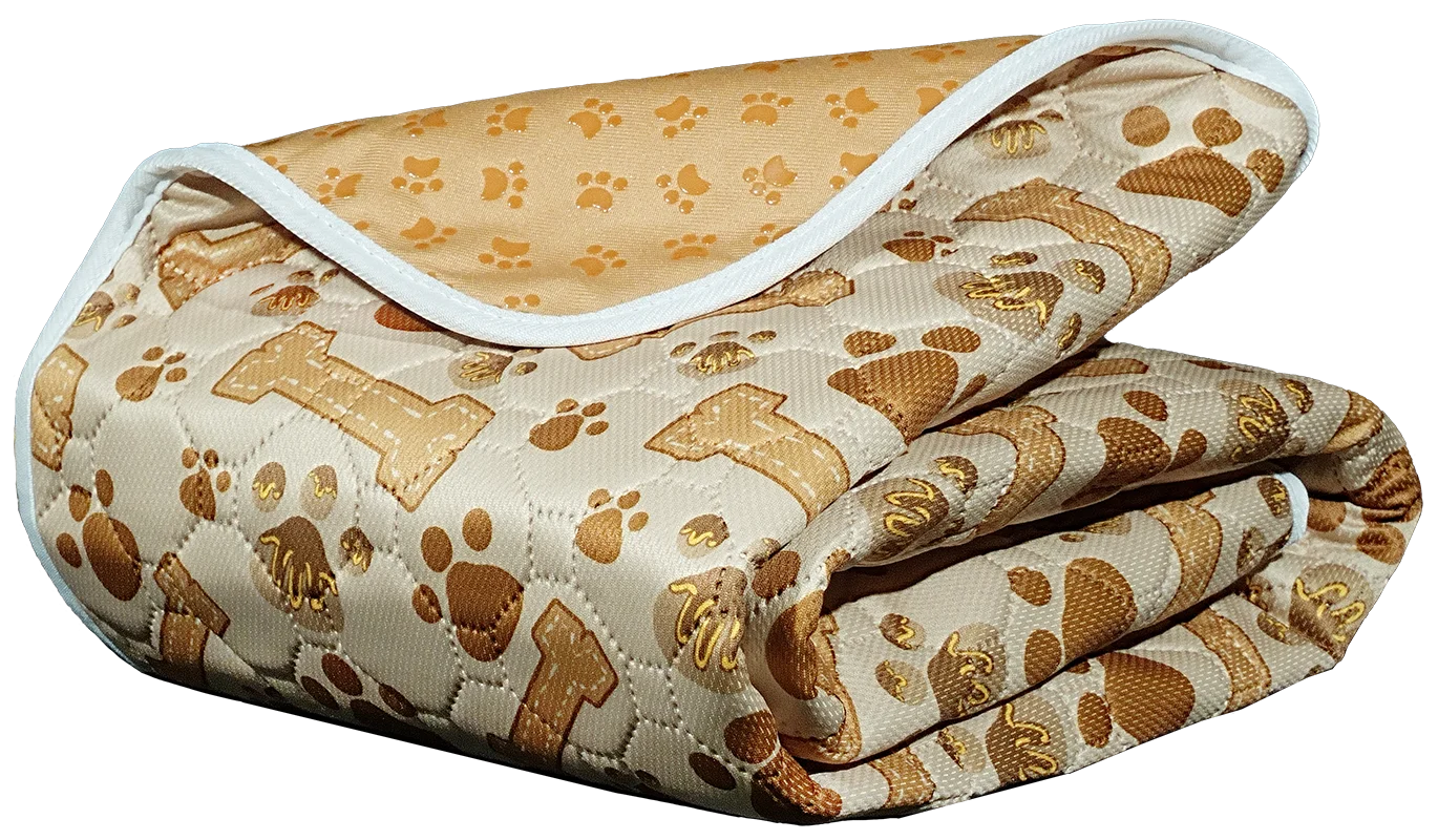 Waterproof Pet Training Pad Set 2 Pack Absorbent Non Slip