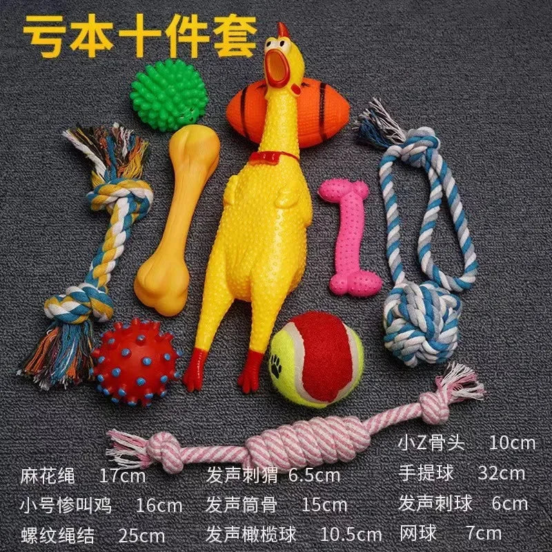 Pawfect Plush Dog Toy Set for Engaging Puppy Training