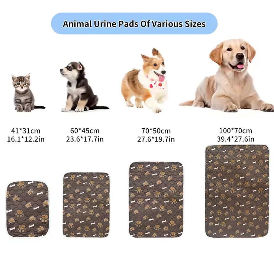 Waterproof Pet Training Pad Set 2 Pack Absorbent Non Slip