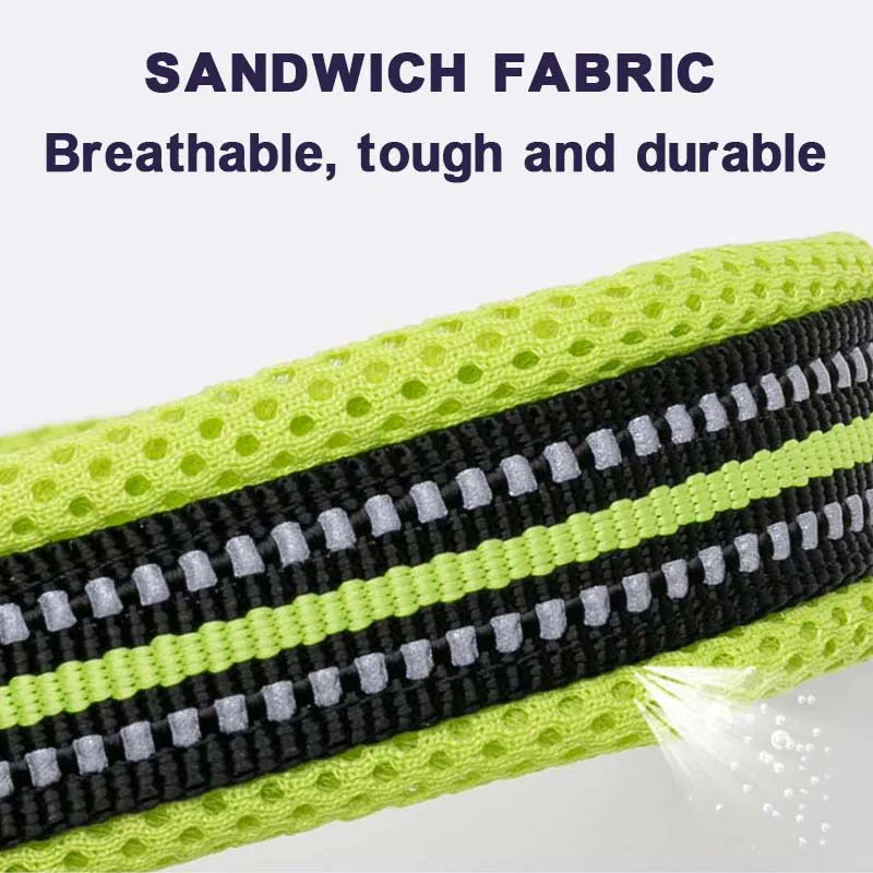 Nylon Padded Dog Walking Collar With Durable Buckle