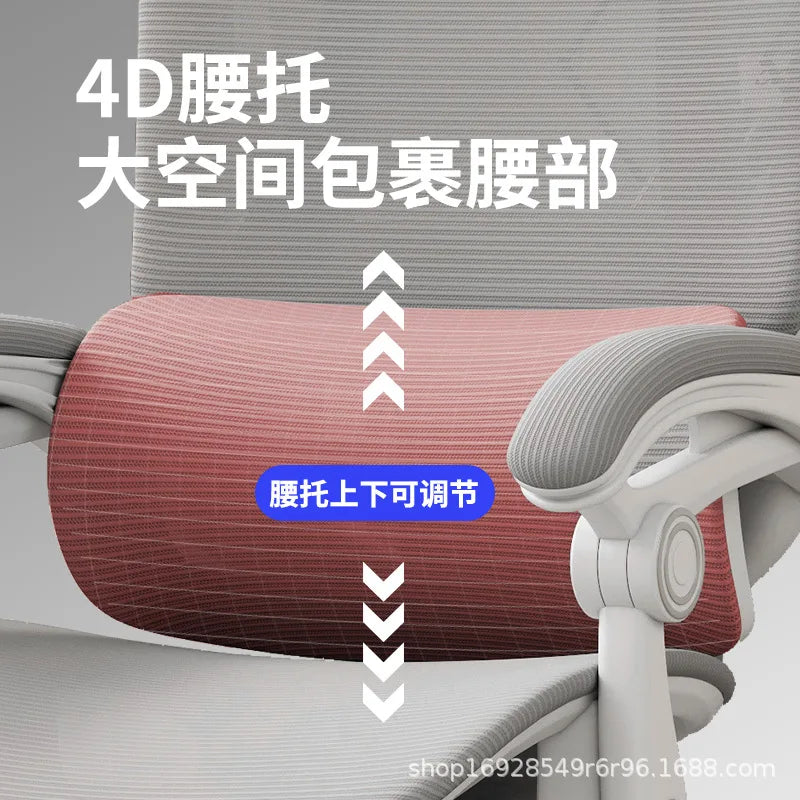Compy Ergonomic Office Chair with Adjustable Lumbar Support