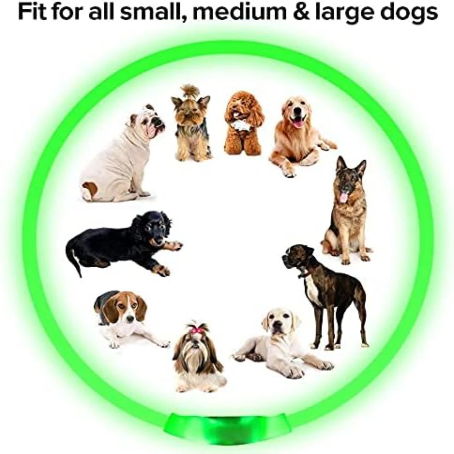 LISM LED Dog Collar for Enhanced Nighttime Safety