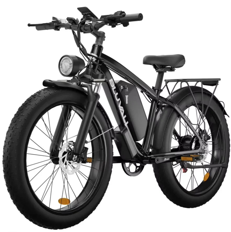 Ebike Dual Motor 2000W 48V Long Range Off Road Bike