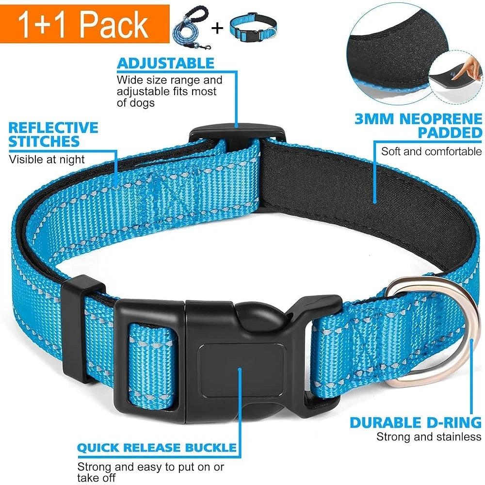 Adjustable Reflective Dog Collar with Bonus Leash for Safety