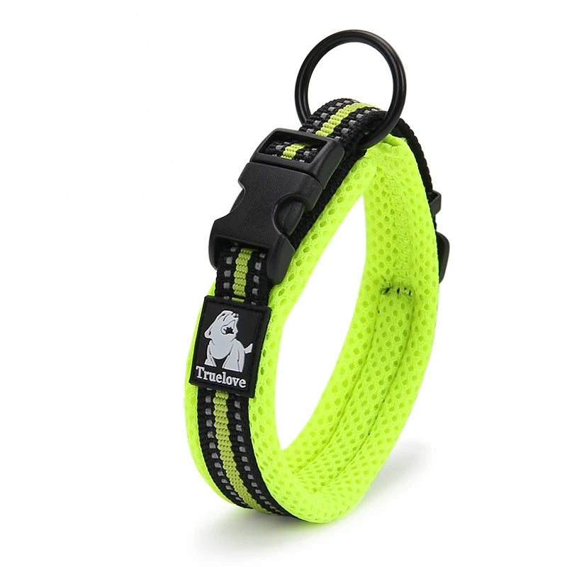 Nylon Padded Dog Walking Collar With Durable Buckle