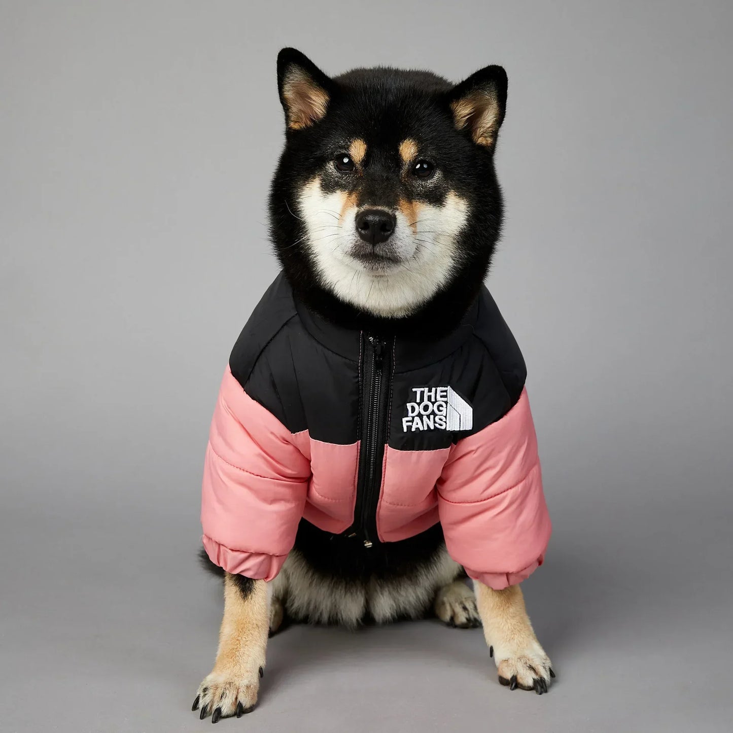 Warm Winter Dog Coat Down Jacket for Small Medium Dogs