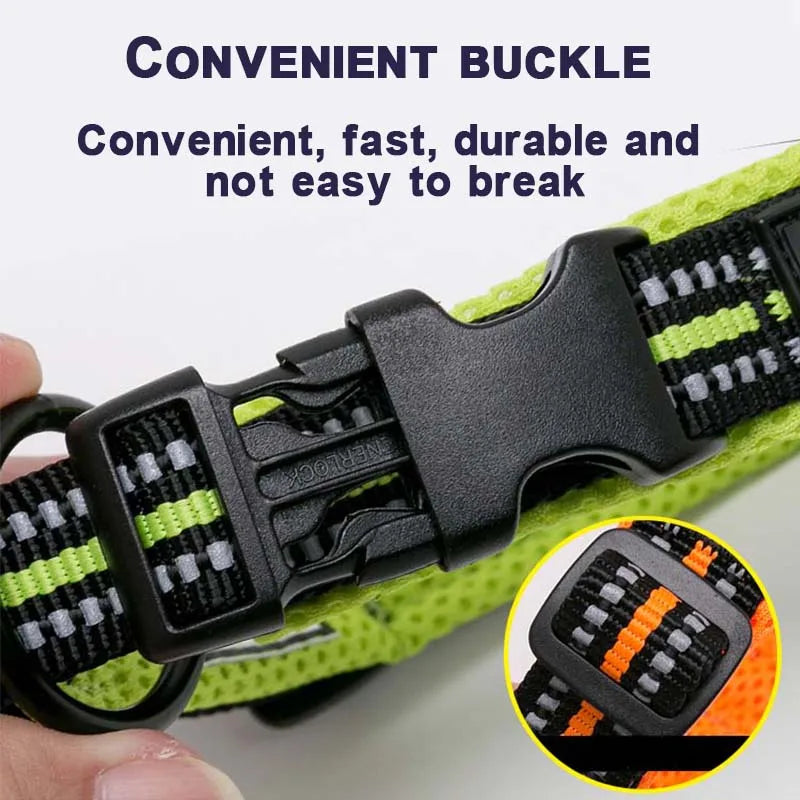 Nylon Padded Dog Walking Collar With Durable Buckle