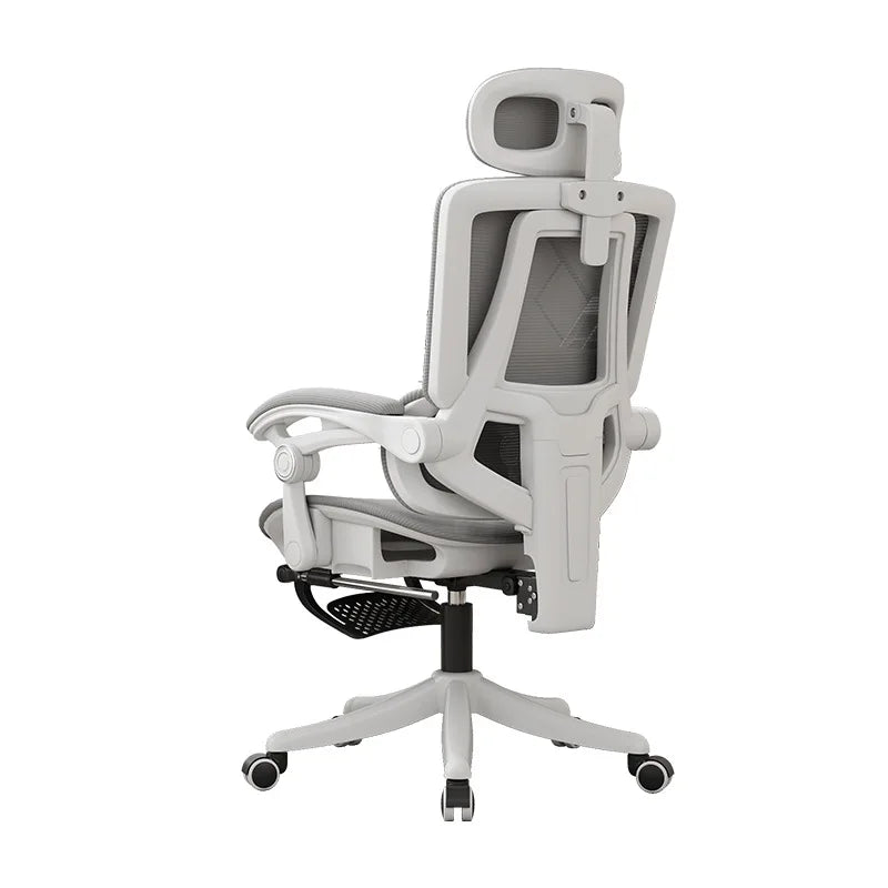 Compy Ergonomic Office Chair with Adjustable Lumbar Support