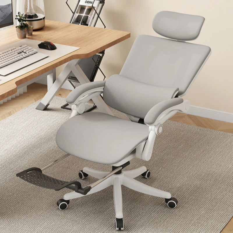 Compy Ergonomic Office Chair with Adjustable Lumbar Support