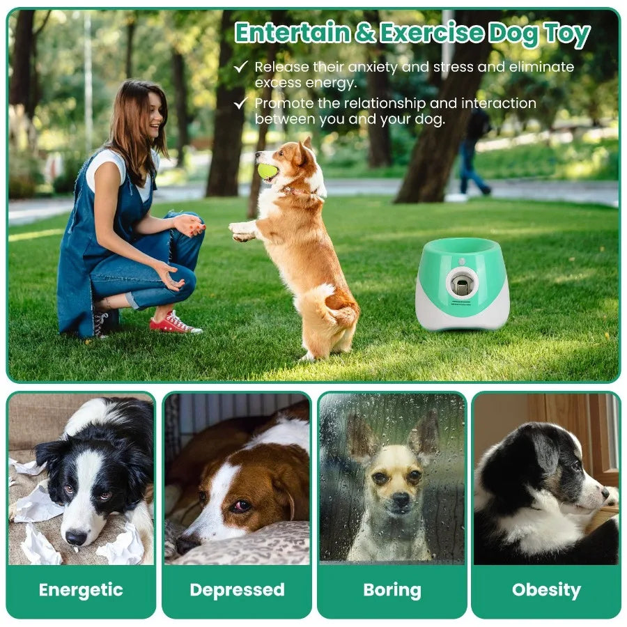 Automatic Dog Ball Launcher with Adjustable Distances for Endless Fun