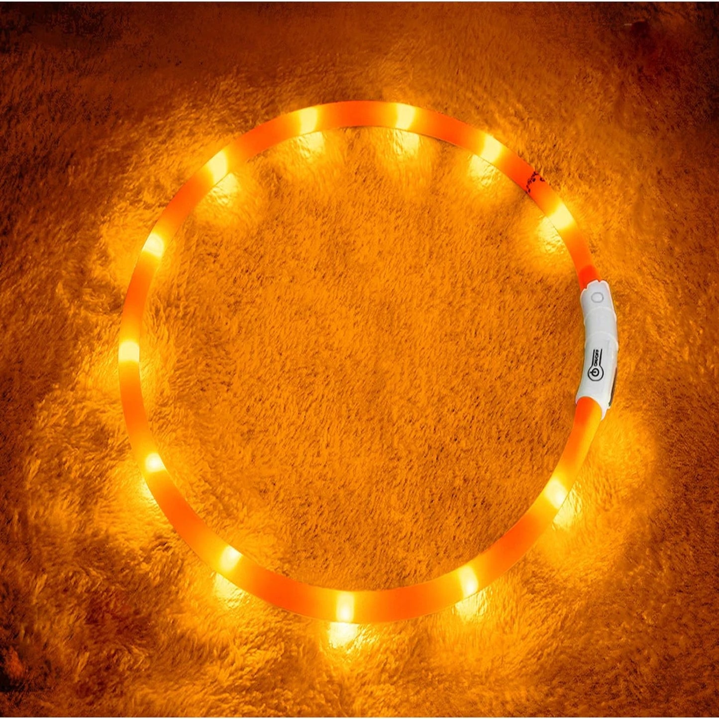 LISM LED Dog Collar for Enhanced Night Safety
