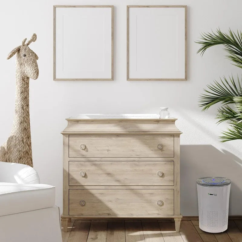 OdorStop HEPA Air Purifier with UV Light for Fresh Indoor Air