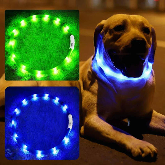 LISM LED Dog Collar for Enhanced Night Safety