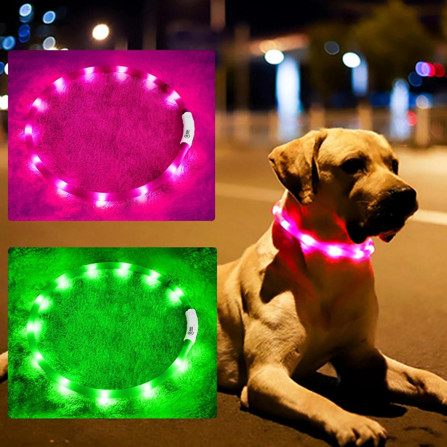 LISM LED Dog Collar for Enhanced Night Safety