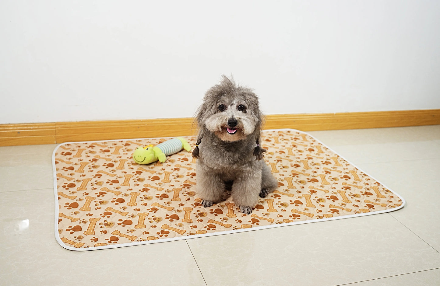 Waterproof Pet Training Pad Set 2 Pack Absorbent Non Slip