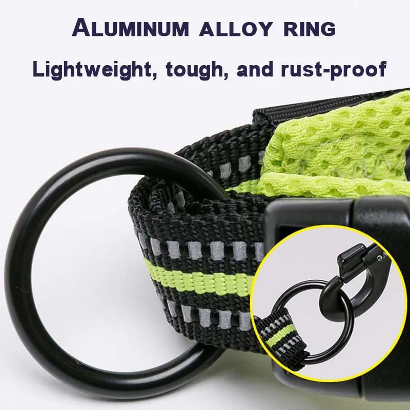 Nylon Padded Dog Walking Collar With Durable Buckle