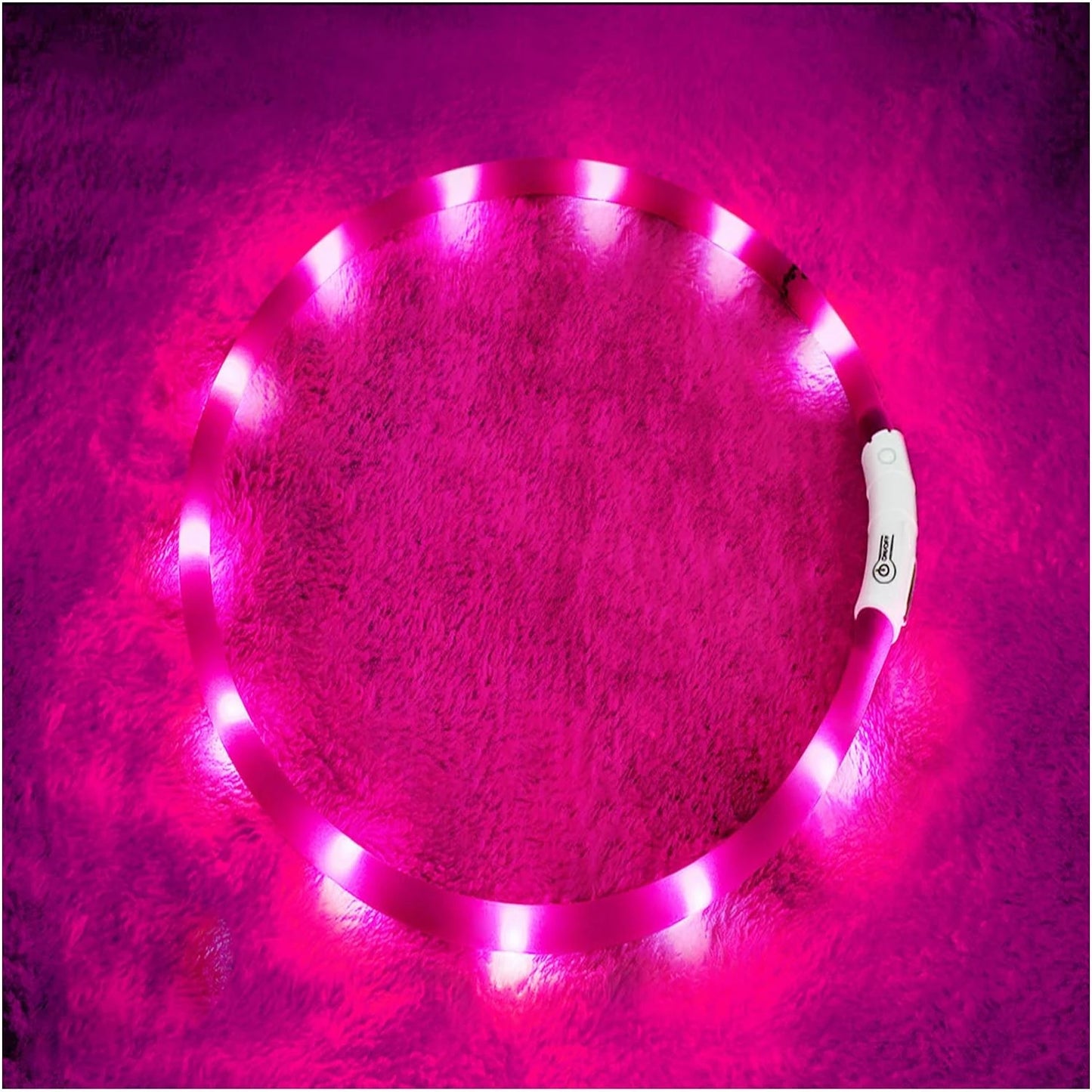 LISM LED Dog Collar for Enhanced Night Safety
