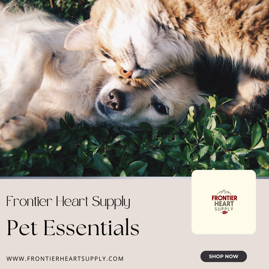 🐾 The Best Things for a New Pet: Must-Haves for a Happy Start
