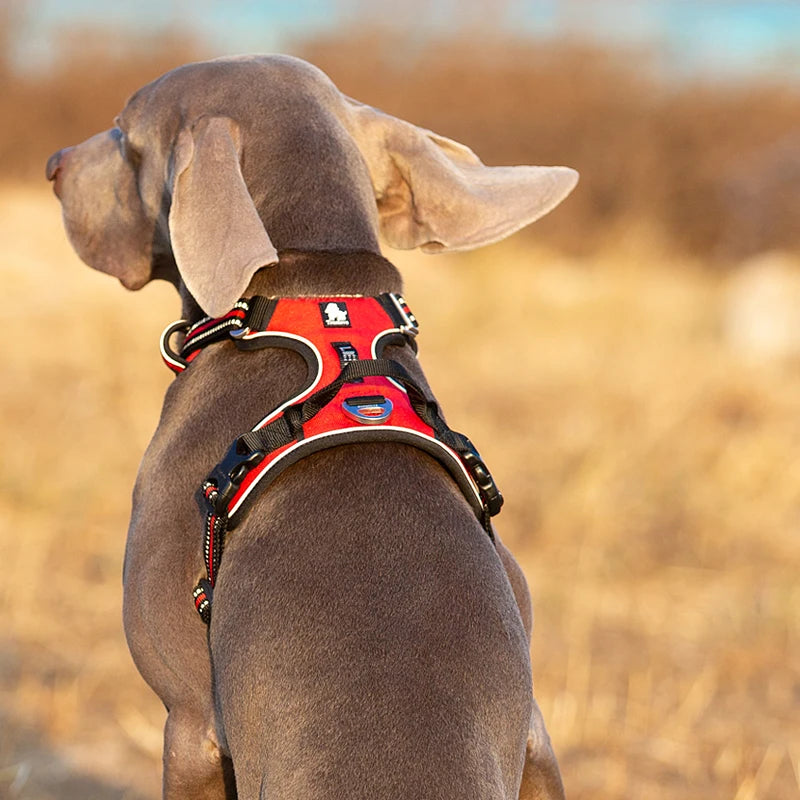 Truelove Reflective Dog Harness for No Pull Comfort
