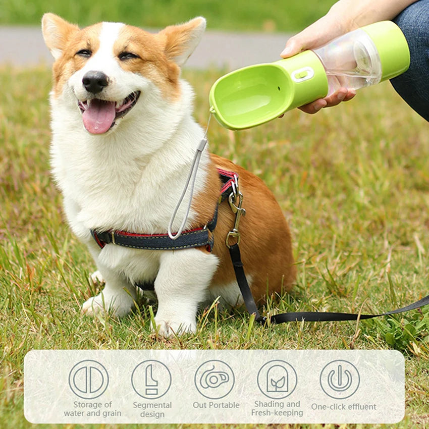 Portable Dog Water Bottle for Hydration on Outdoor Adventures