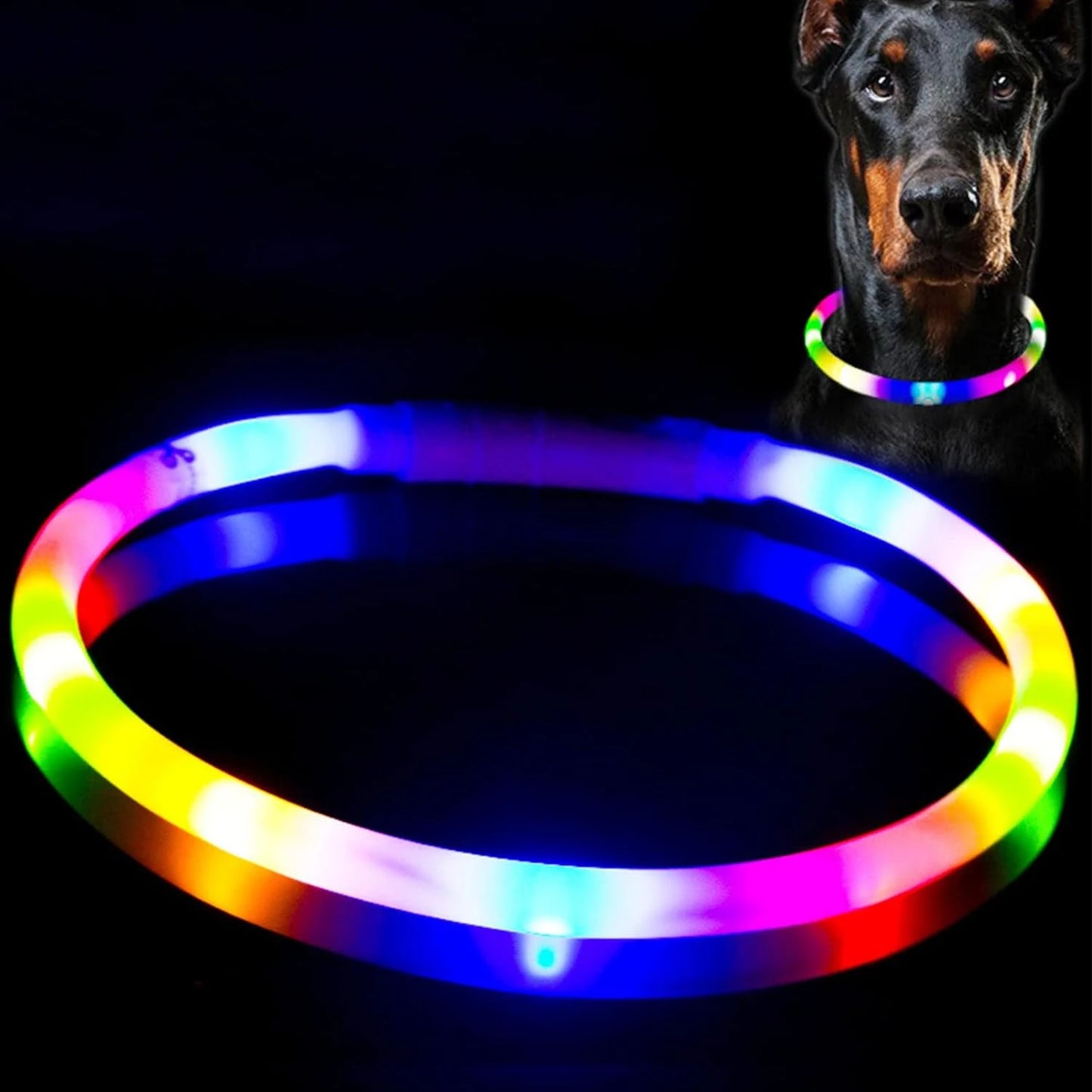 LISM LED Dog Collar for Enhanced Night Safety