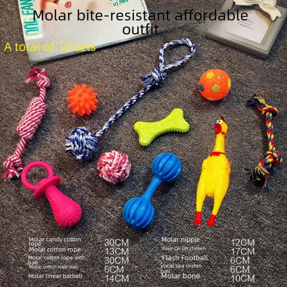 Pawfect Plush Dog Toy Set for Engaging Puppy Training