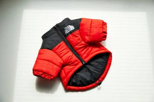 Warm Winter Dog Coat Down Jacket for Small Medium Dogs