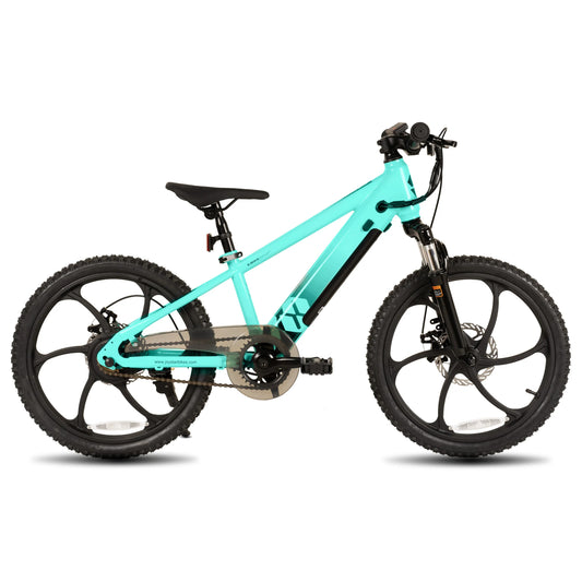 Joystar 250W Kids Electric Bike 15 Mile Range Safety