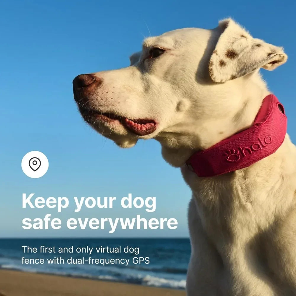 GPS Wireless Dog Fence with Real-Time Tracking