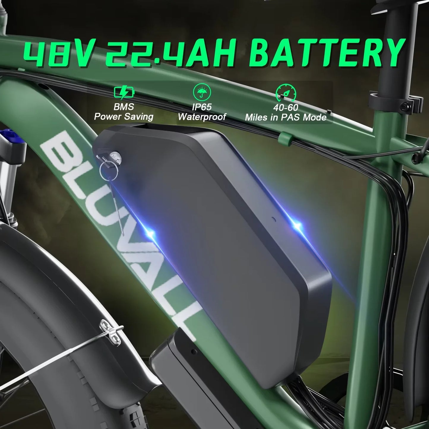 Ebike Dual Motor 2000W 48V Long Range Off Road Bike