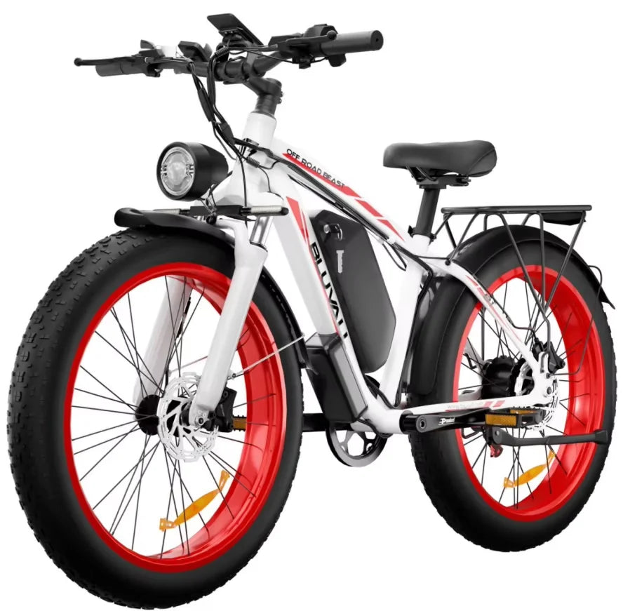 Ebike Dual Motor 2000W 48V Long Range Off Road Bike