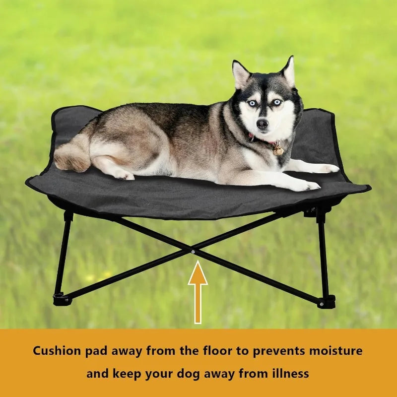 Portable Raised Dog Bed With Carrying Bag And Padded Cushion