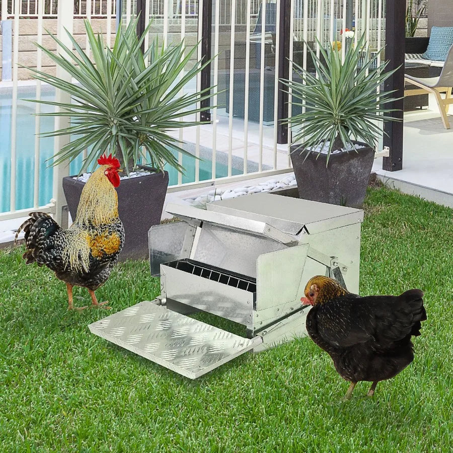Automatic Chicken Feeder 30 Lb Capacity Galvanized Steel