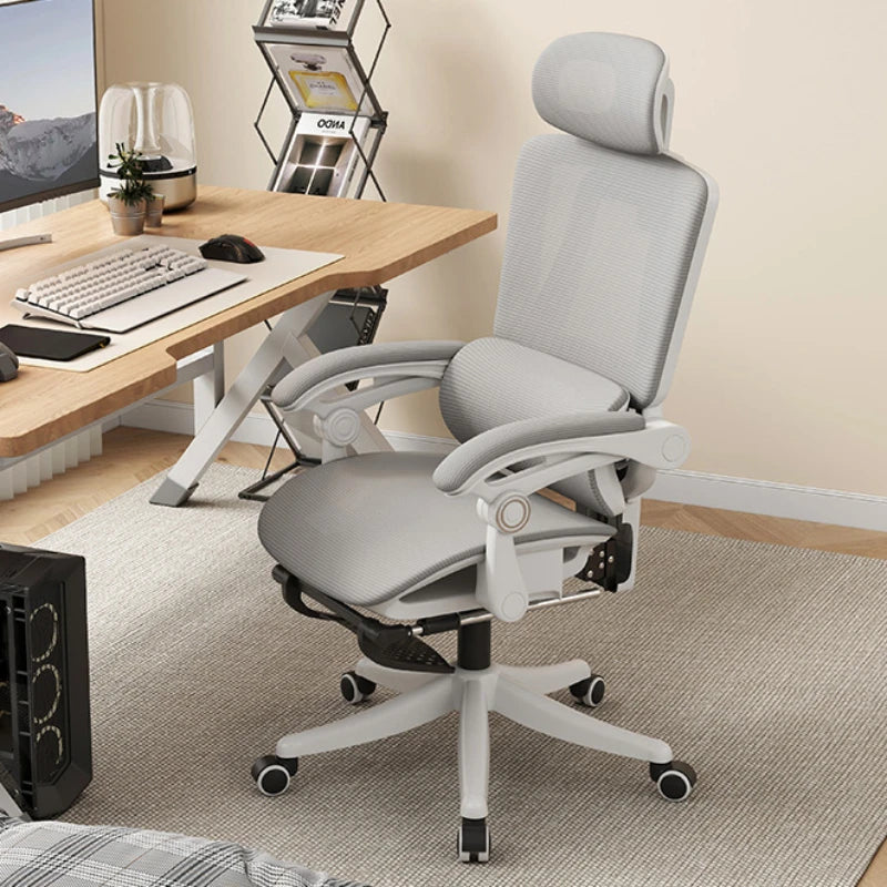 Compy Ergonomic Office Chair with Adjustable Lumbar Support