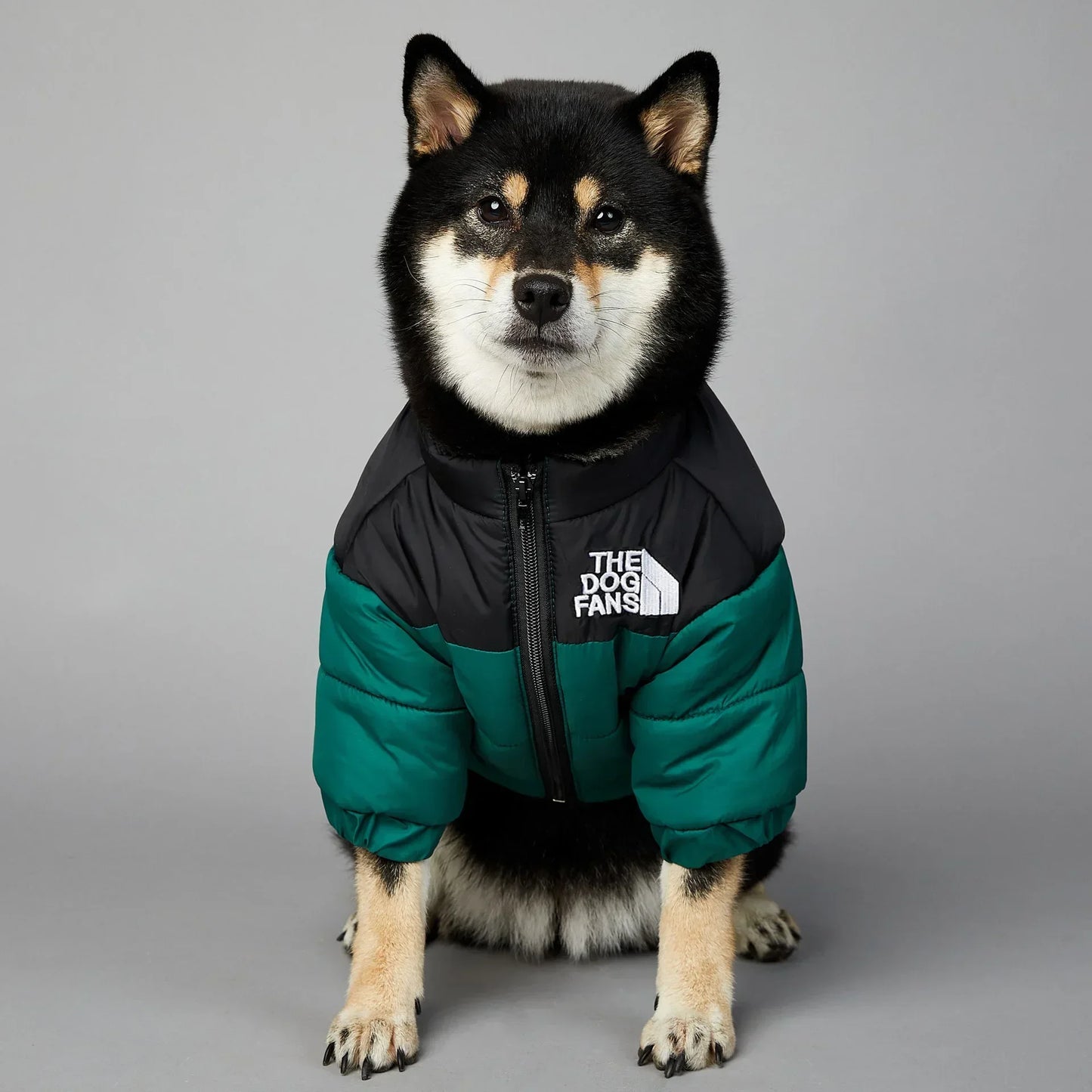 Warm Winter Dog Coat Down Jacket for Small Medium Dogs