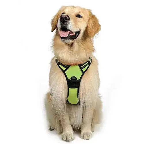 Reflective Dog Harness Vest Chest Strap With Durable Leash