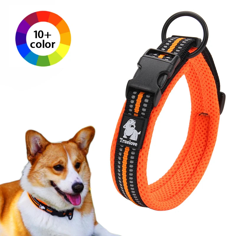 Nylon Padded Dog Walking Collar With Durable Buckle