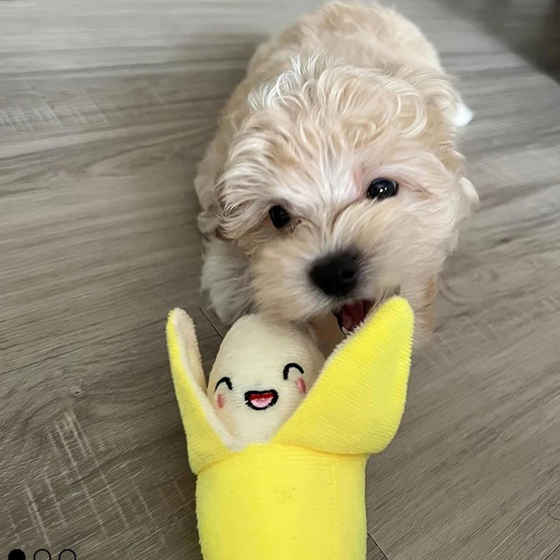 PawPlay 7-Piece Dog Toy Set for Engaging Puppy Playtime