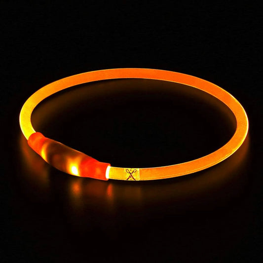 LISM LED Dog Collar for Enhanced Nighttime Safety