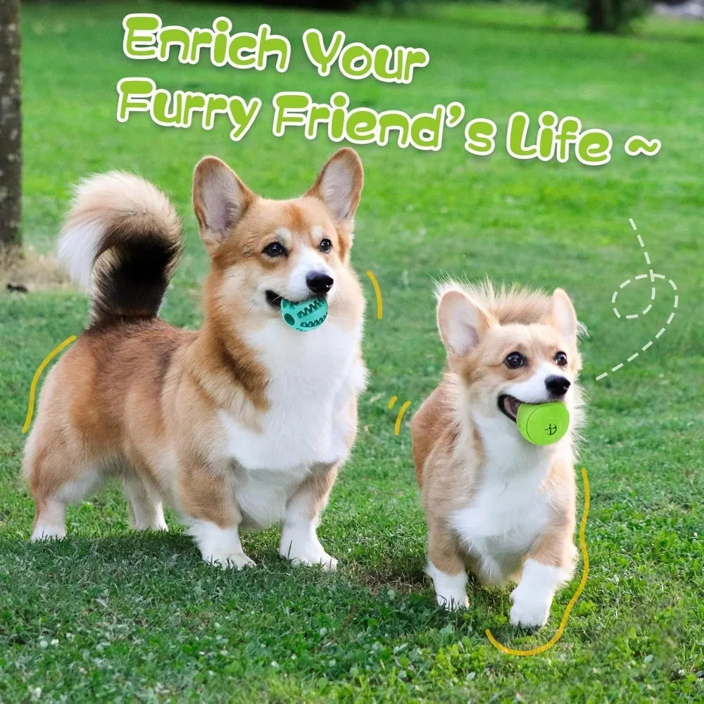 PawPal Interactive Dog Toy Ball for IQ Training