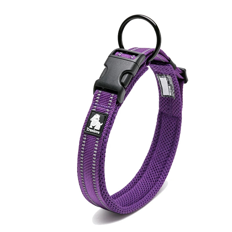 Nylon Padded Dog Walking Collar With Durable Buckle
