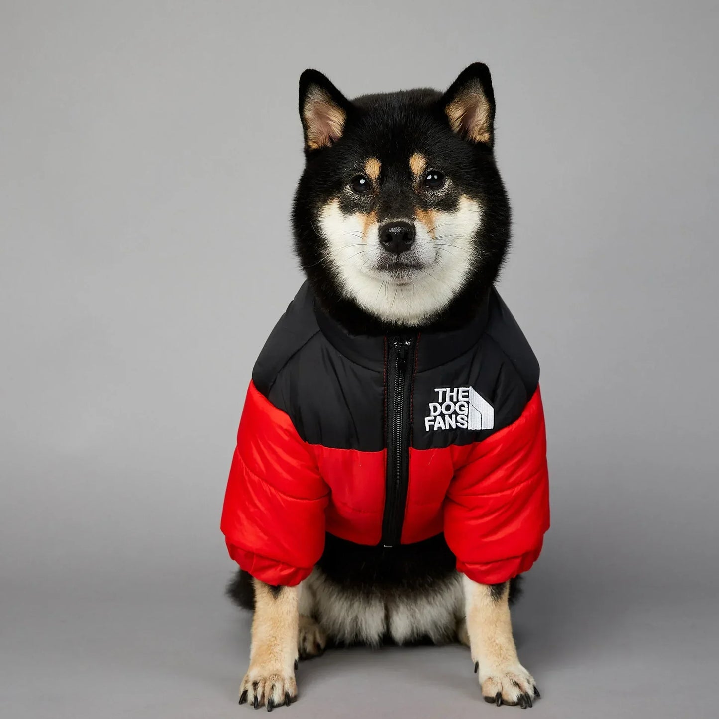 Warm Winter Dog Coat Down Jacket for Small Medium Dogs