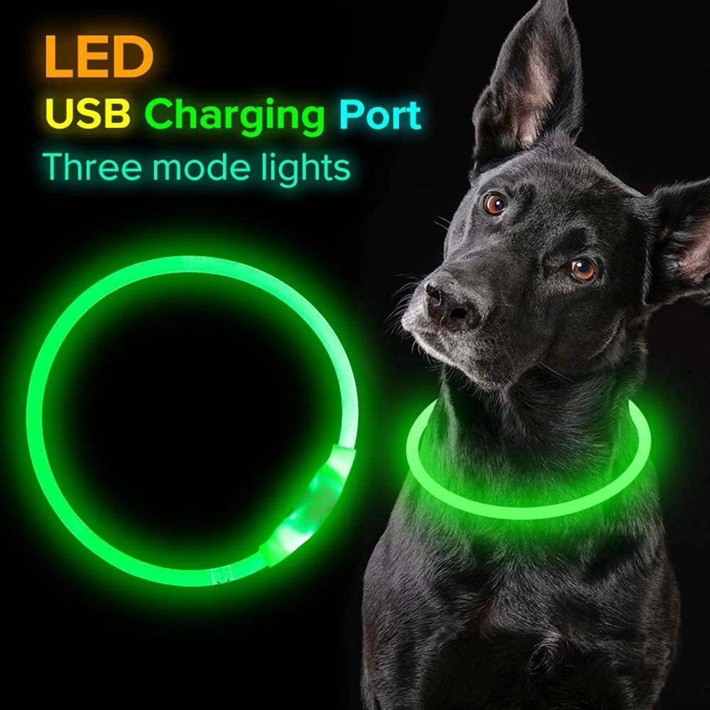 LISM LED Dog Collar for Enhanced Nighttime Safety
