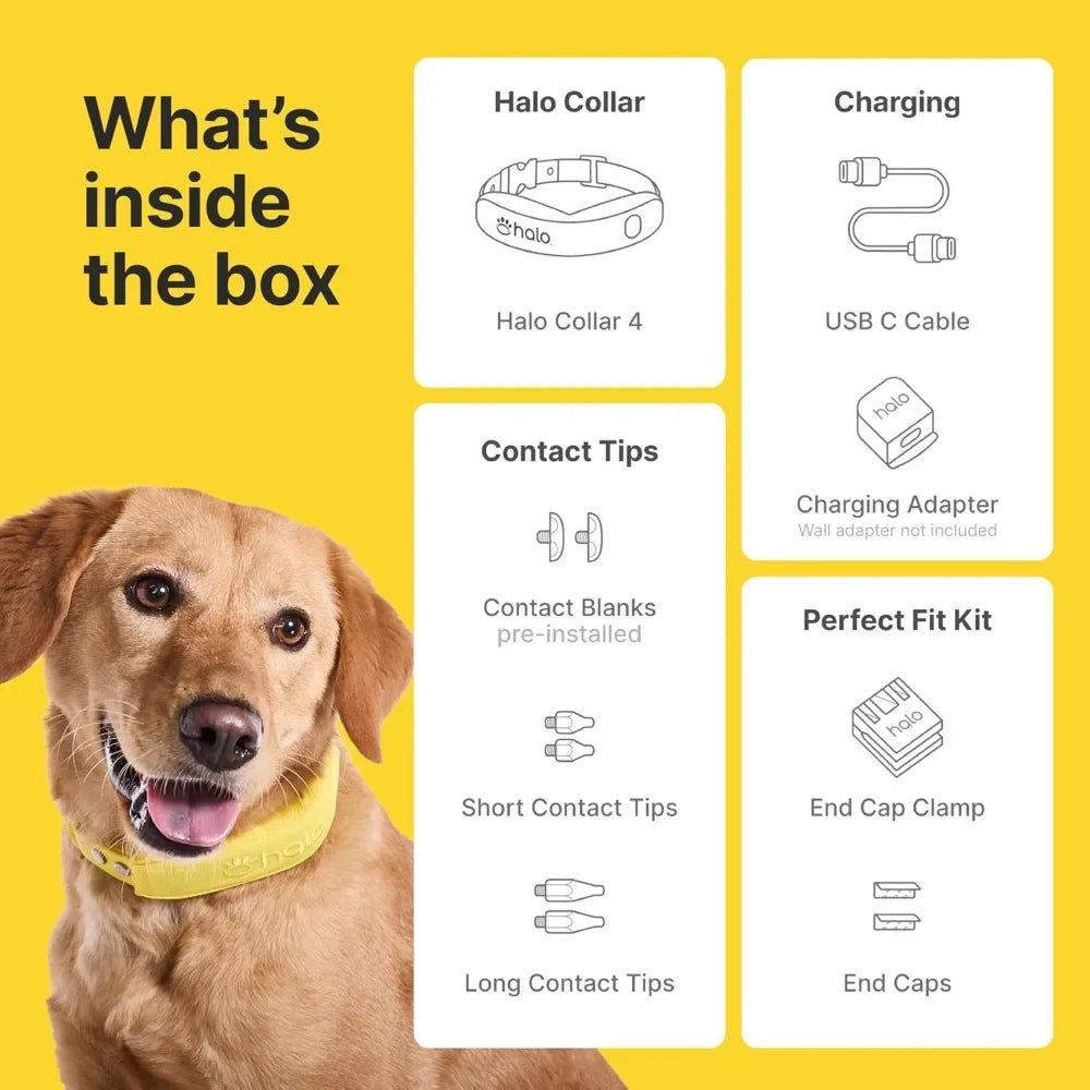 GPS Wireless Dog Fence with Real-Time Tracking