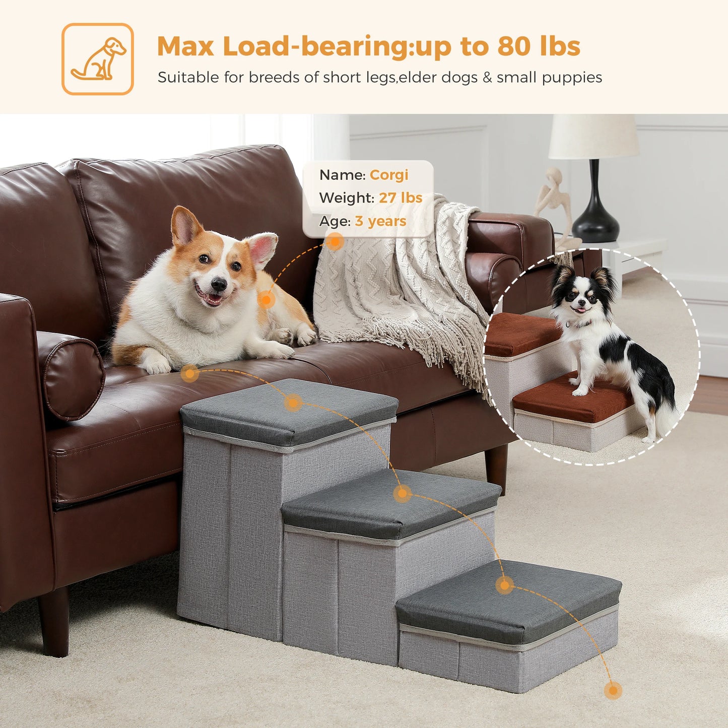 Foldable Dog Stairs With Storage Box Adjustable Height