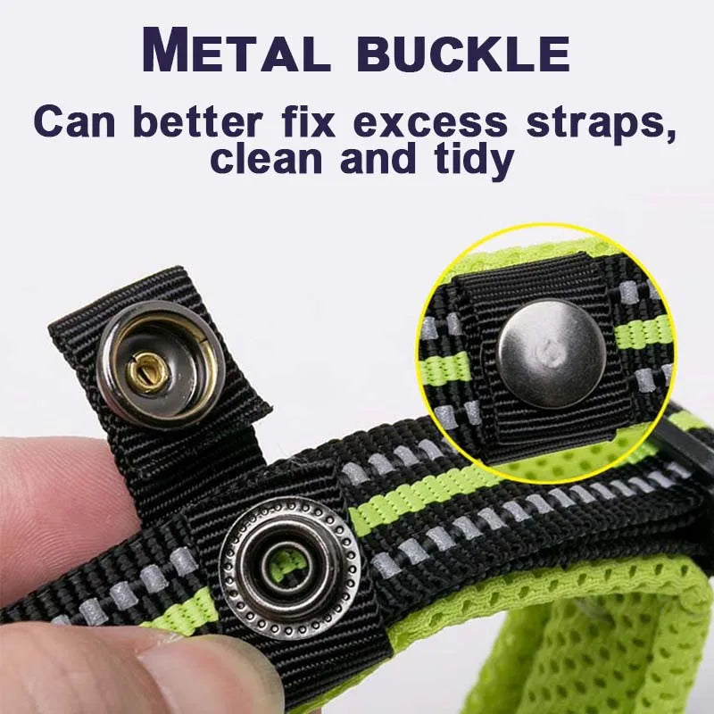 Nylon Padded Dog Walking Collar With Durable Buckle