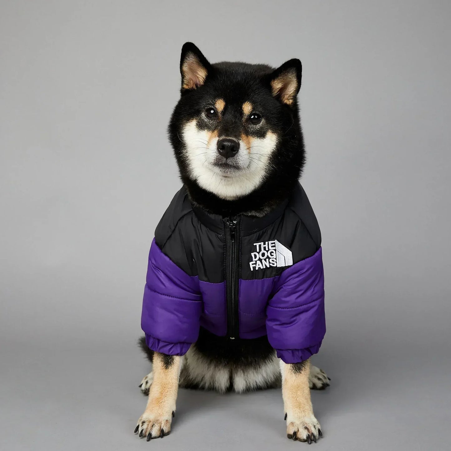 Warm Winter Dog Coat Down Jacket for Small Medium Dogs